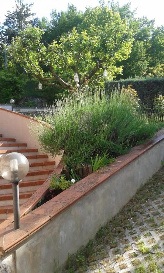 Villa Rosa Caporciano Exteriér fotografie